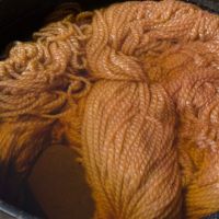 How to Dye with Juniper